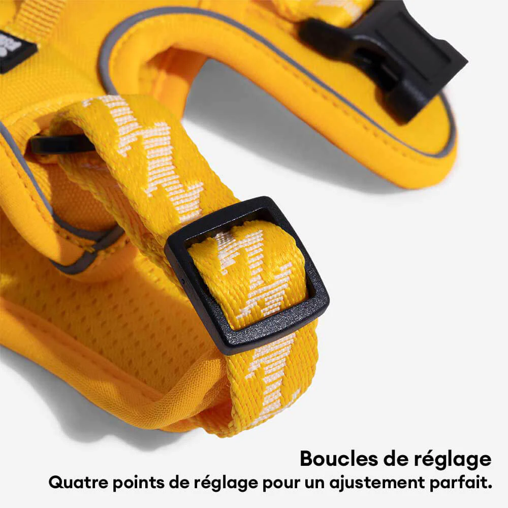 Image du produit 13