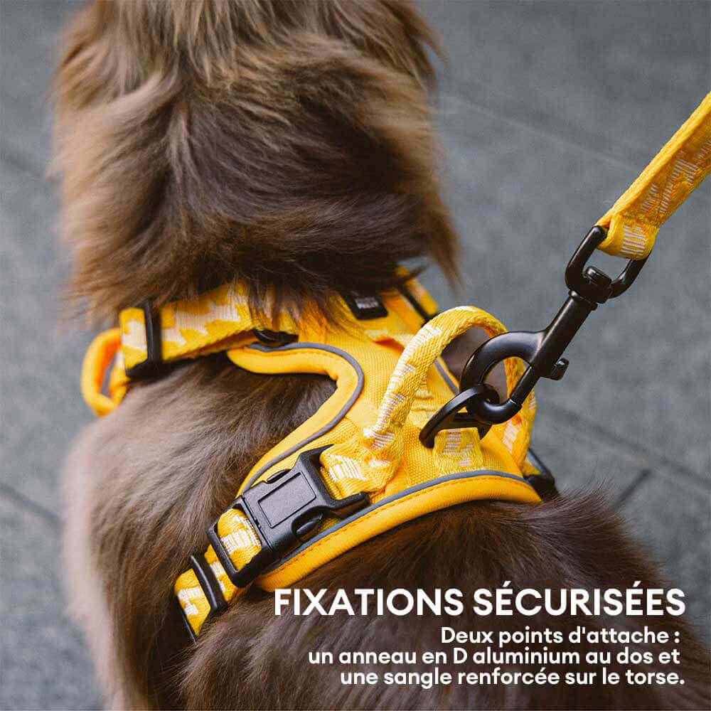 Image du produit 14