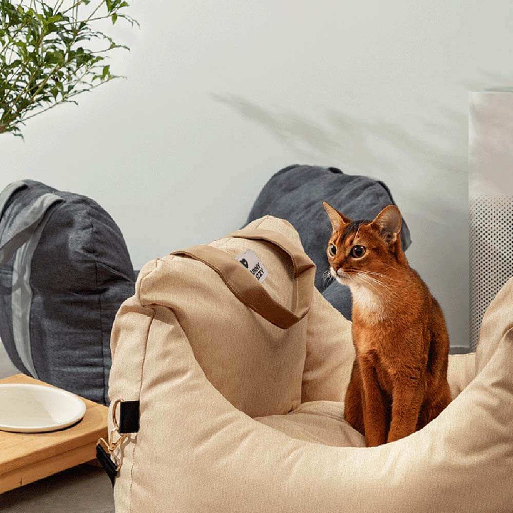 Image du produit 21