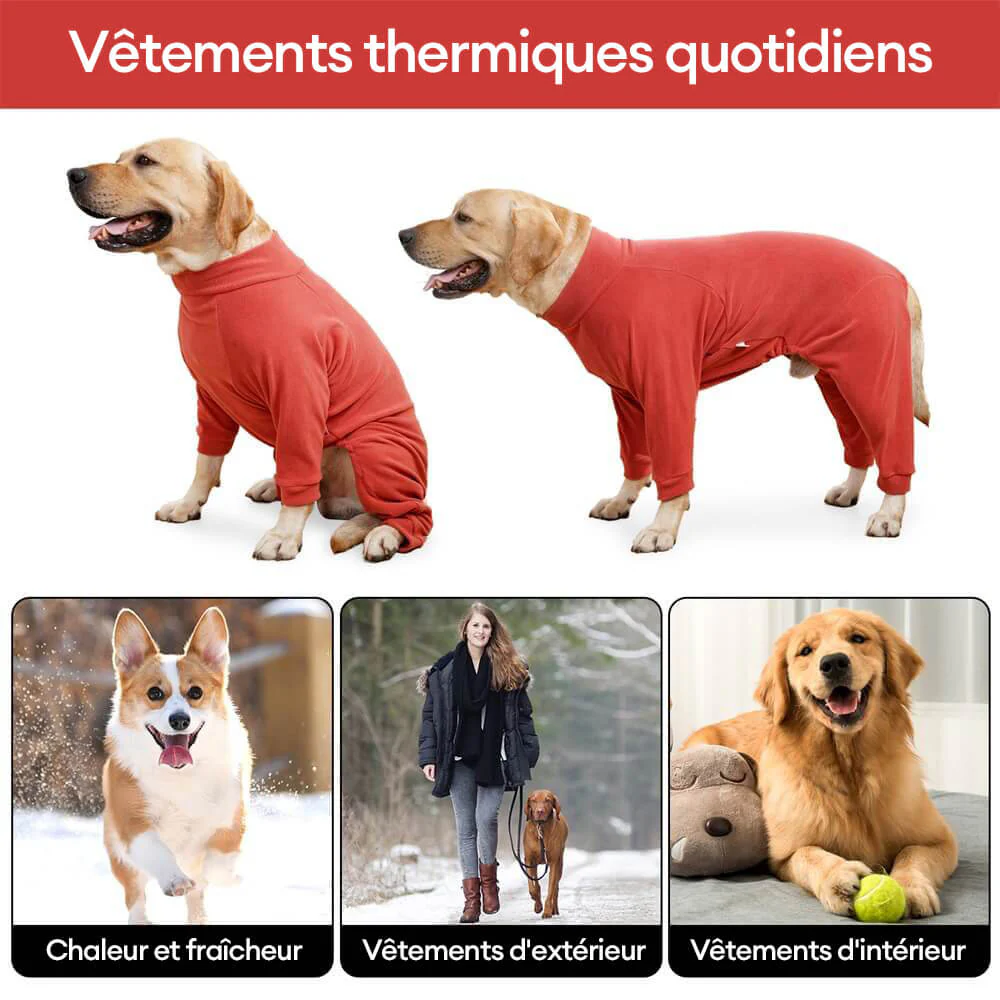 Image du produit 11