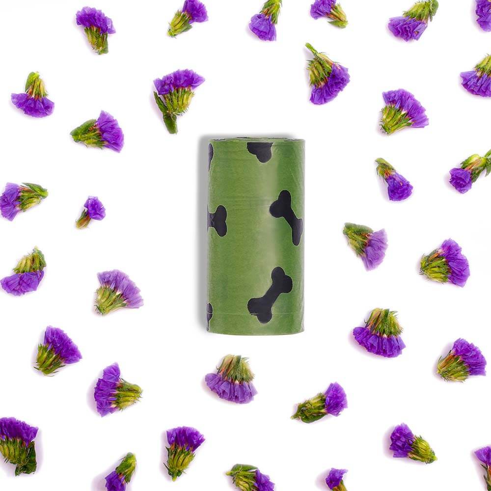 Miniature 1